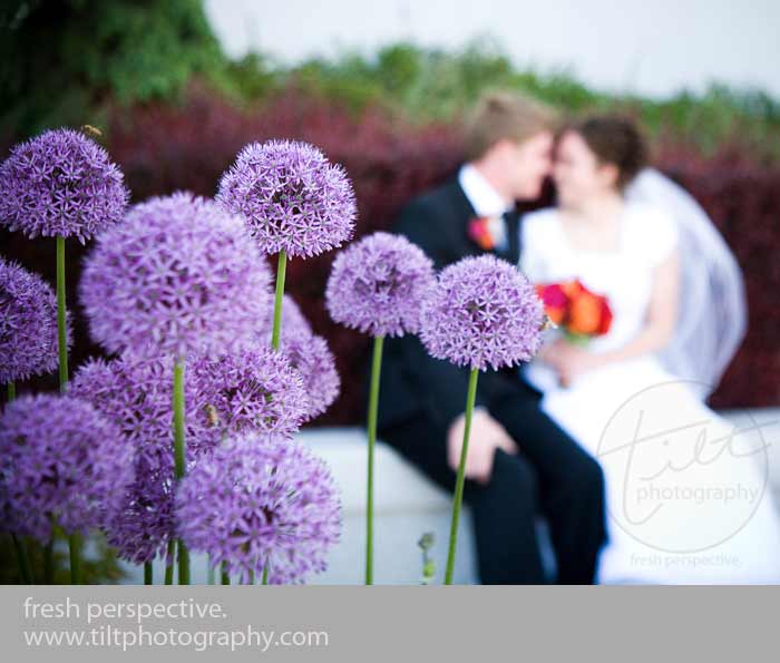 flowers1