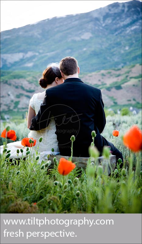 bride-groom-poppies-6