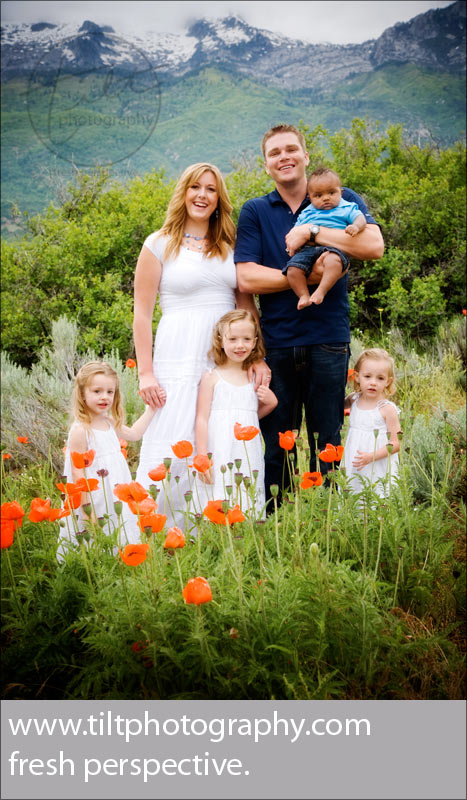 2009-06-poppies-fam1