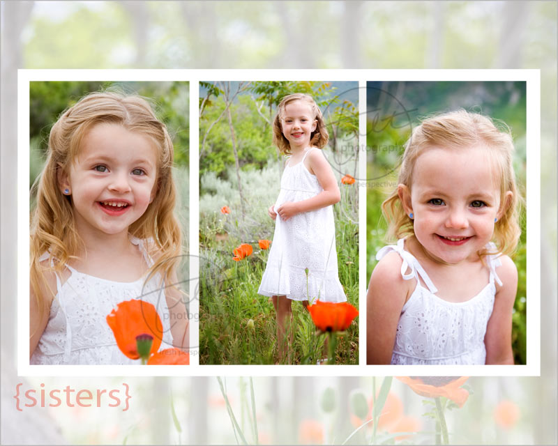 2009-06-poppies-fam3