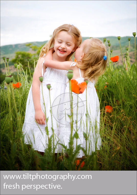 2009-06-poppies-fam5