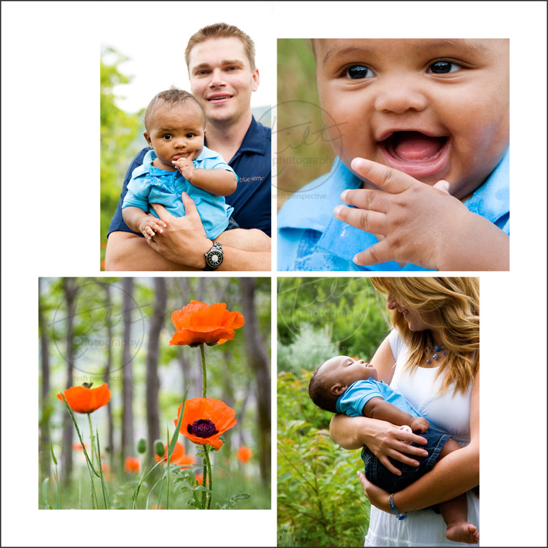 2009-06-poppies-fam6