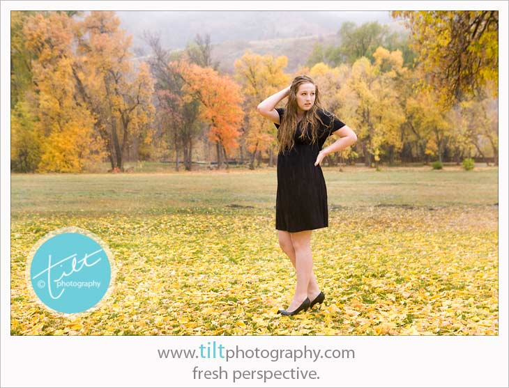 tabby_10
