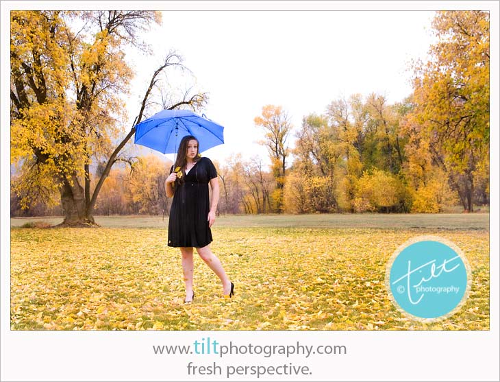 tabby_34