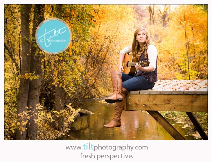 tabby_39